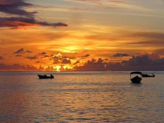 Апартаменти Seascape On Heavenly Bay Castara Екстер'єр фото
